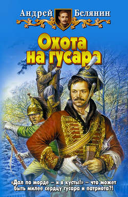Андрей Олегович Белянин - Охота на гусара