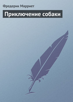 Фредерик Марриет - Приключение собаки
