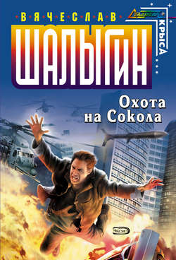 Вячеслав Владимирович Шалыгин - Охота на Сокола