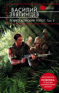 Василий Дмитриевич Звягинцев - Ловите конский топот. Том 2. Кладоискатели