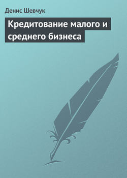 Денис Александрович Шевчук - Кредитование малого и среднего бизнеса