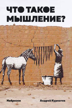Андрей Владимирович Курпатов - Что такое мышление? Наброски