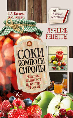 Галина Александровна Кизима - Соки, компоты, сиропы. Лучшие рецепты напитков из вашего урожая