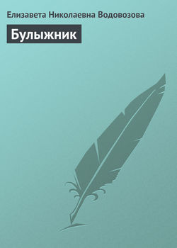 Елизавета Николаевна Водовозова - Булыжник