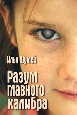 Илья Александрович Шумей - Разум главного калибра