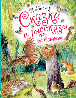 Виталий Валентинович Бианки - Сказки и рассказы про животных