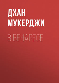 Скачать книгу В Бенаресе автора Дхан Мукерджи