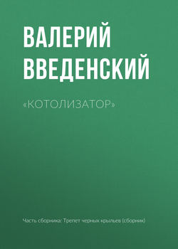 Валерий Владимирович Введенский - «Котолизатор»