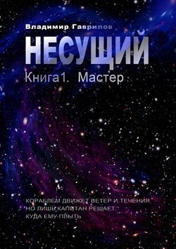 Скачать книгу Несущий. Книга 1. Мастер автора Владимир Гаврилов