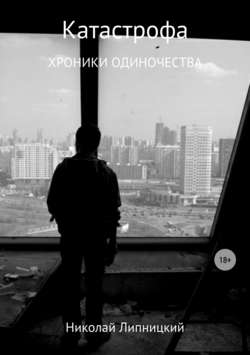 Николай Иванович Липницкий - Катастрофа. Хроники одиночества