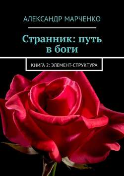 Скачать книгу Странник: путь в боги. Книга 2: элемент-структура автора Александр Марченко