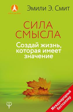 Сила смысла. Создай жизнь, которая имеет значение