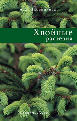 Скачать книгу Хвойные растения автора Л. С. Плотникова
