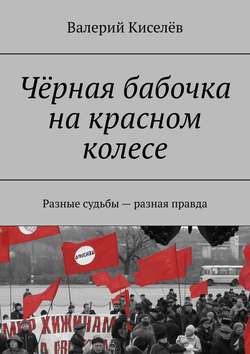 Валерий Павлович Киселев - Чёрная бабочка на красном колесе. Разные судьбы – разная правда