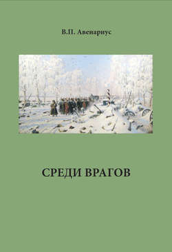Василий Петрович Авенариус - Среди врагов