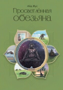 Просветлённая обезьяна