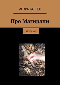 Игорь Галеев - Про Магирани. Артефакт