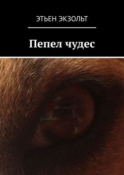 Скачать книгу Пепел чудес автора Этьен Экзольт