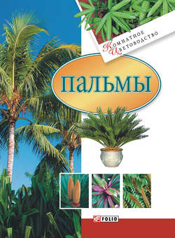 Скачать книгу Пальмы автора 