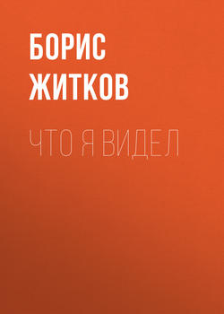 Борис Степанович Житков - Что я видел