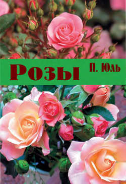 Скачать книгу Розы автора П. П. Юль