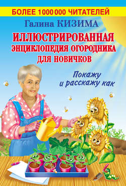 Скачать книгу Иллюстрированная энциклопедия огородника для новичков автора Галина Кизима